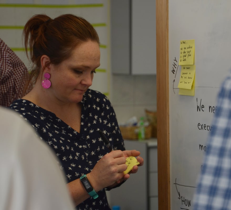 OZ Minerals OPEX/CAPEX co-design and strategy - More Space For Light